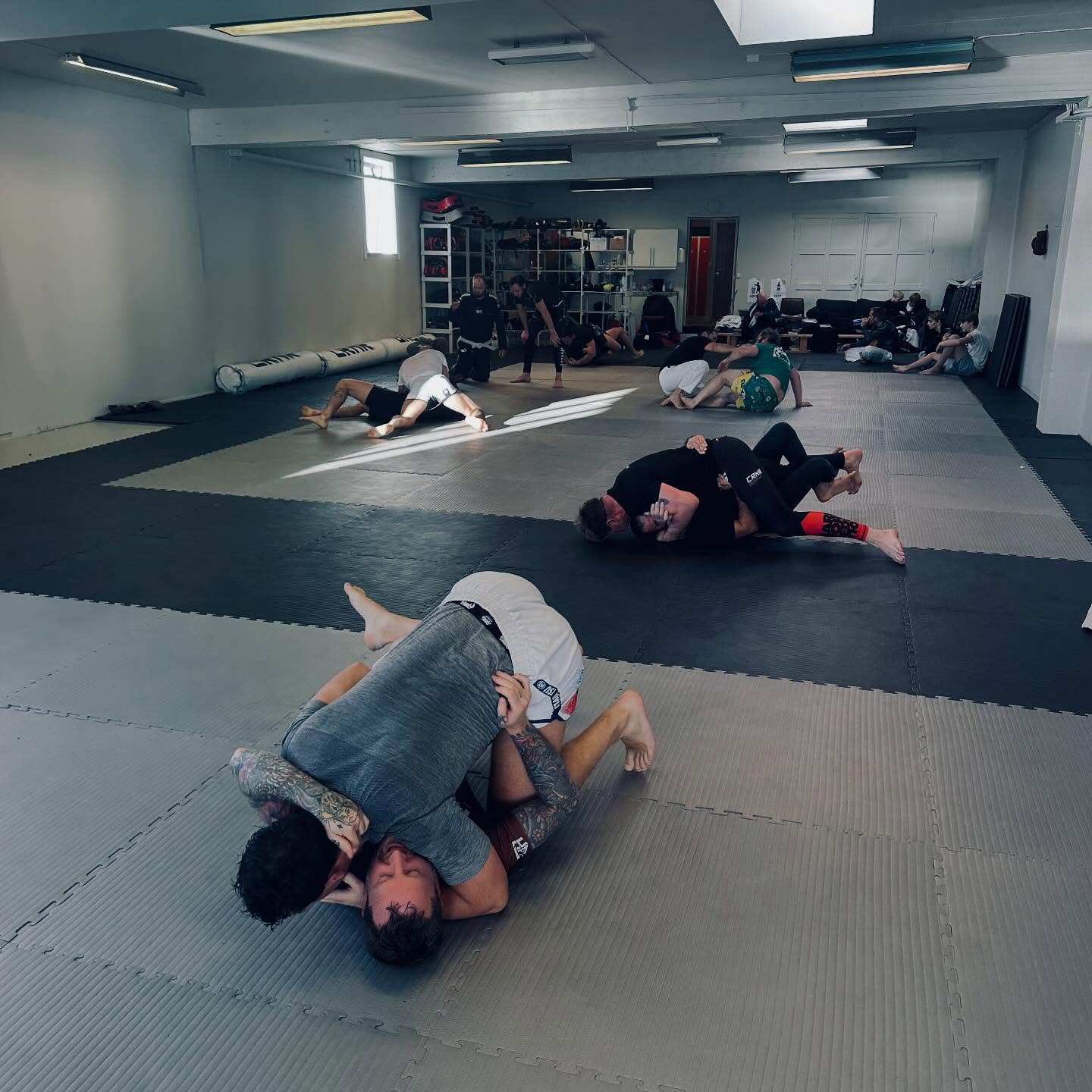 Brasiliansk jiu-jitsu Novus Academy