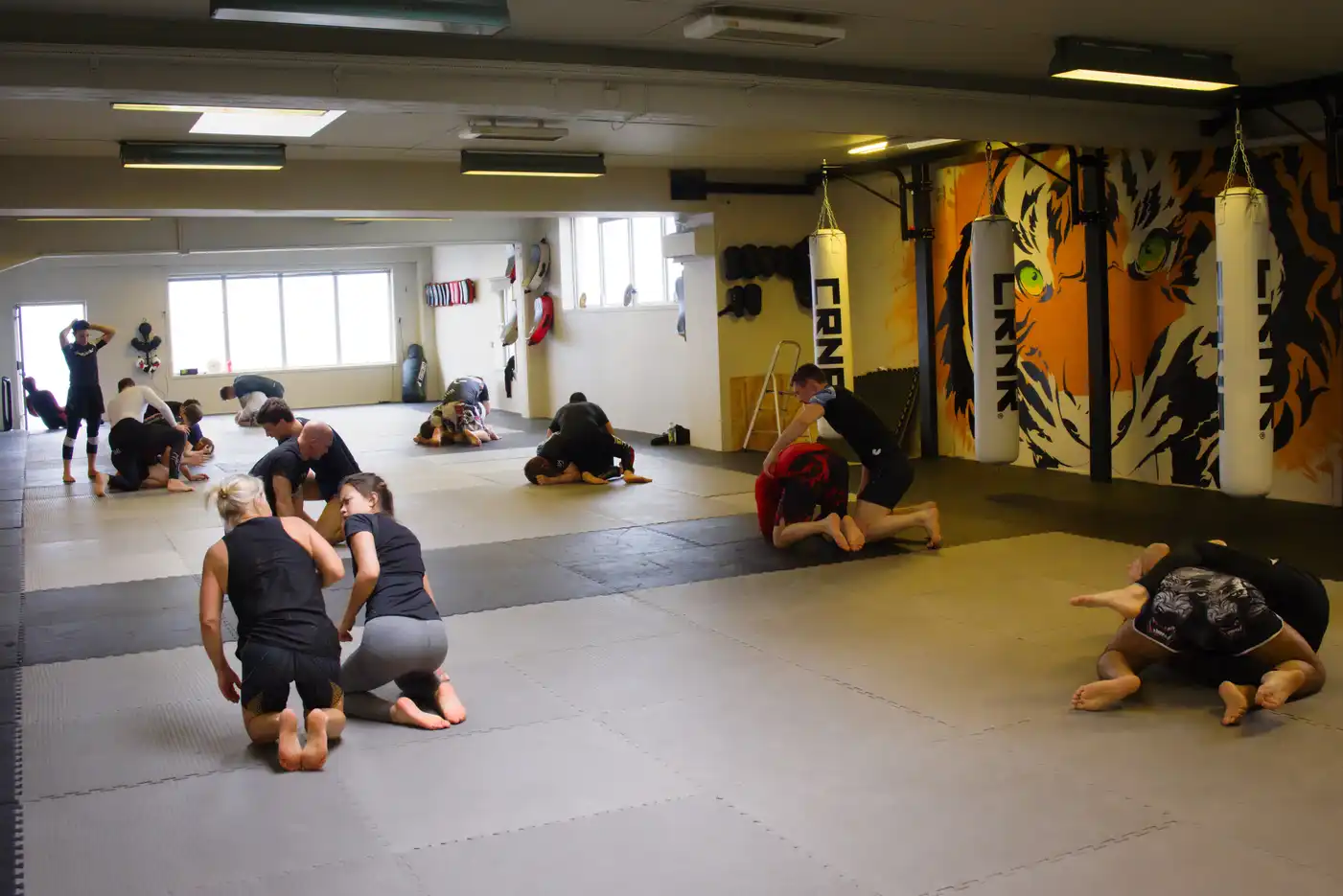 Bilde fra Novus Academy Molde (12)