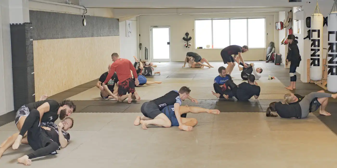 Bilde fra Novus Academy Molde (47)