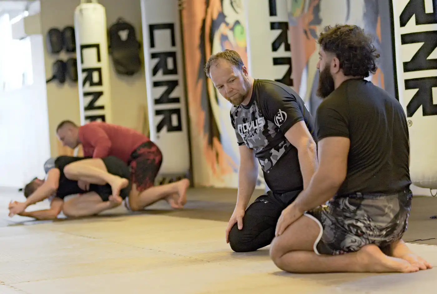 Bilde fra Novus Academy Molde (73)