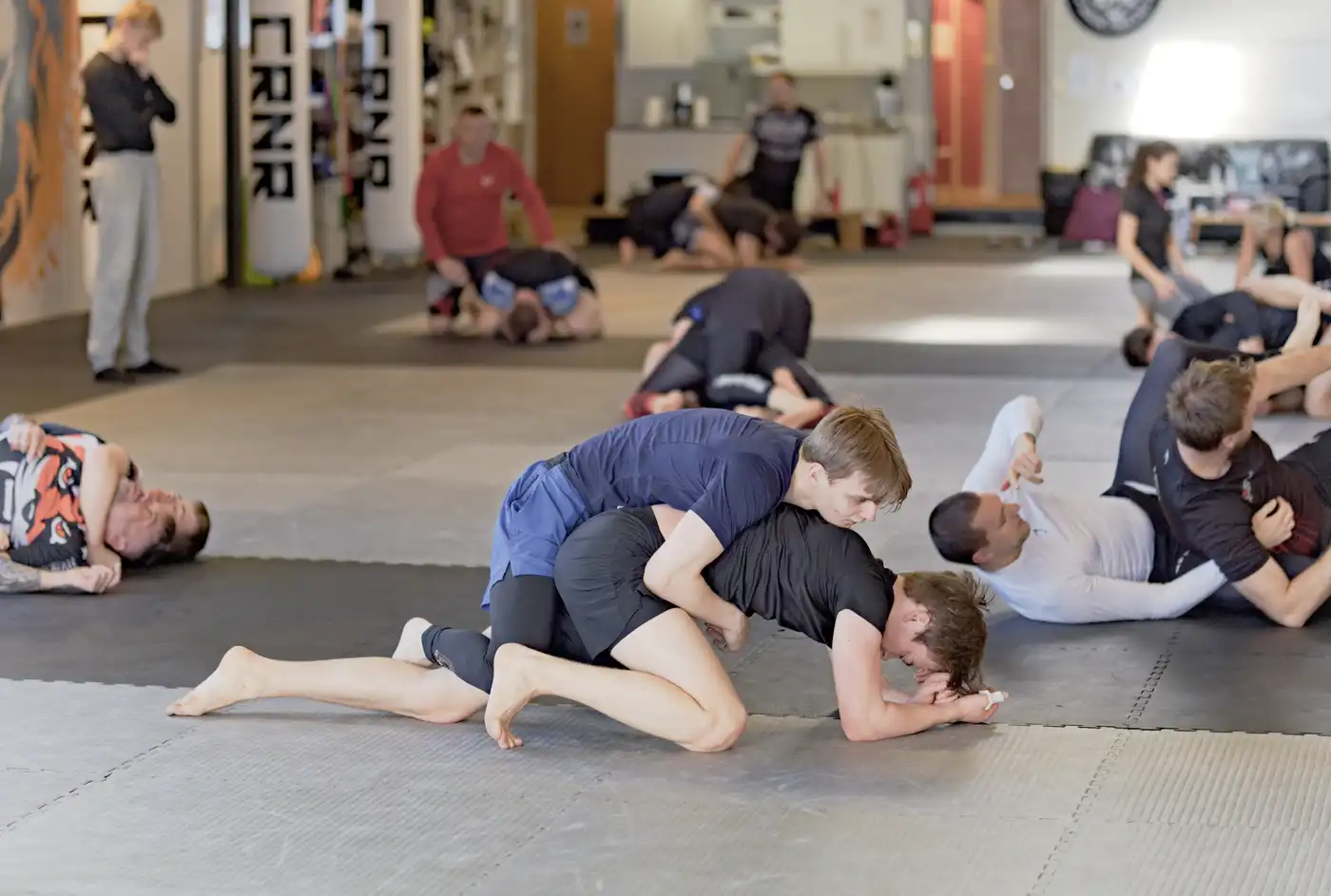 Bilde fra Novus Academy Molde (93)