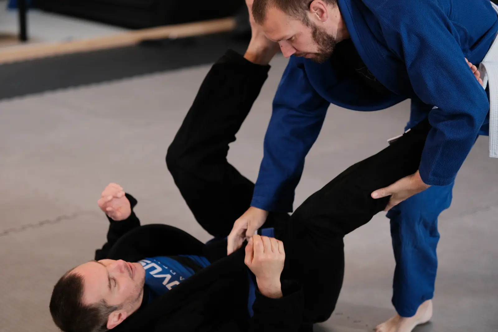 Bilde fra Novus Academy Molde (43)